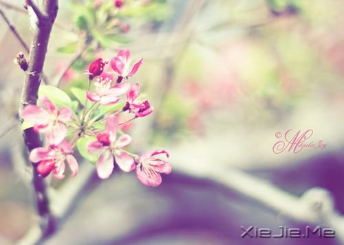 若现在就觉得失望无力，未来那么远你该怎么扛 (6)