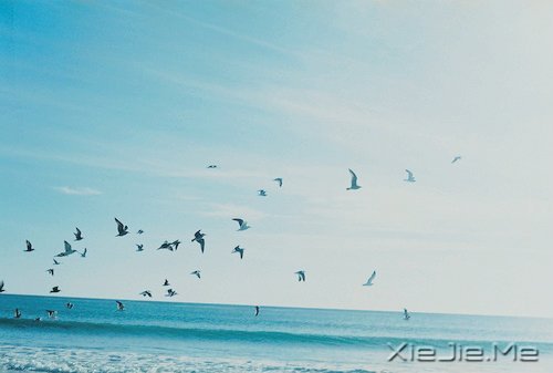 不争，也有属于你的世界 (2)