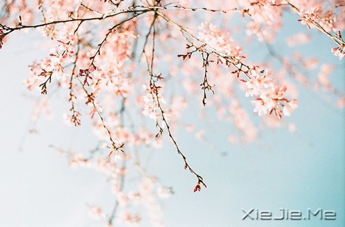 不争，也有属于你的世界 (6)