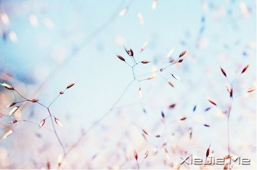 不争，也有属于你的世界 (9)