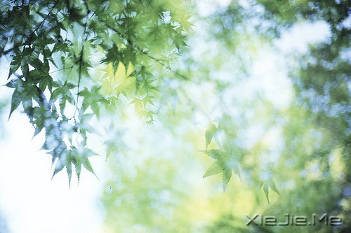 晚安心语：给时光以生命，而不是给生命以时光 (3)