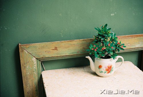 晚安心语：给时光以生命，而不是给生命以时光 (9)