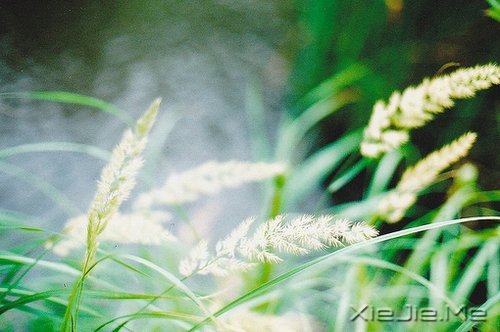 晚安心语：给时光以生命，而不是给生命以时光 (12)