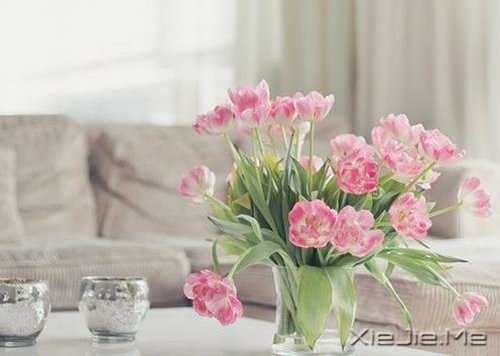 晚安心语：每一段青春都会苍老，但我希望记忆里的你一直都好 (1)