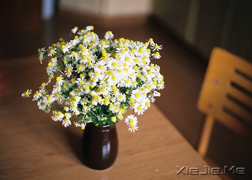 晚安心语：每一段青春都会苍老，但我希望记忆里的你一直都好 (5)