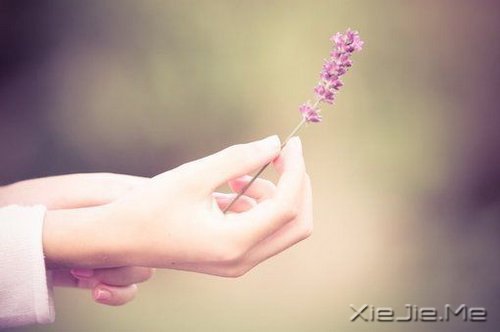 晚安心语：谁经得起浮华的绚烂，谁就经得起流年的平淡 (10)