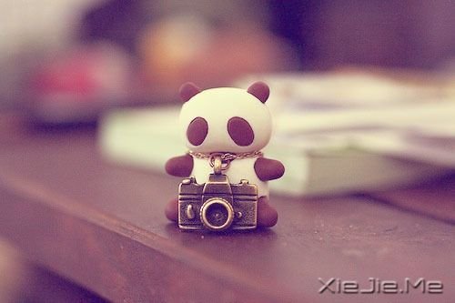 晚安心语：不要为旧的悲伤，浪费新的眼泪 (2)