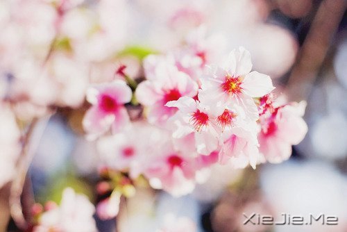 2014，用12个月来改变自己 (9)