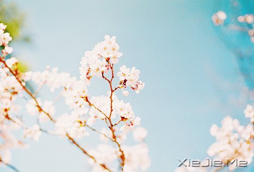 2014，用12个月来改变自己 (12)